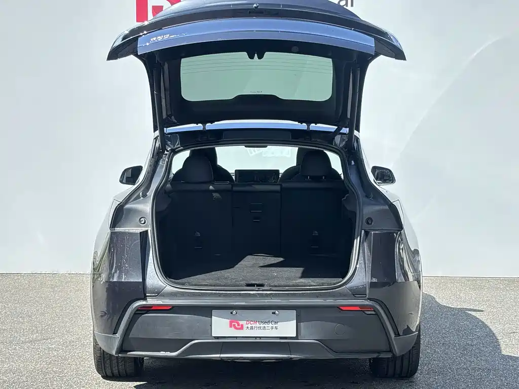 Tesla Model Y — фото 9