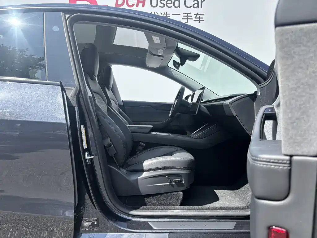 Tesla Model Y — фото 10