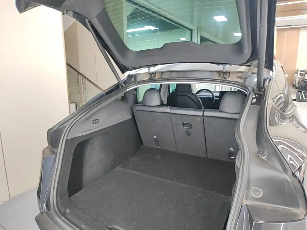 Tesla Model Y — фото 19
