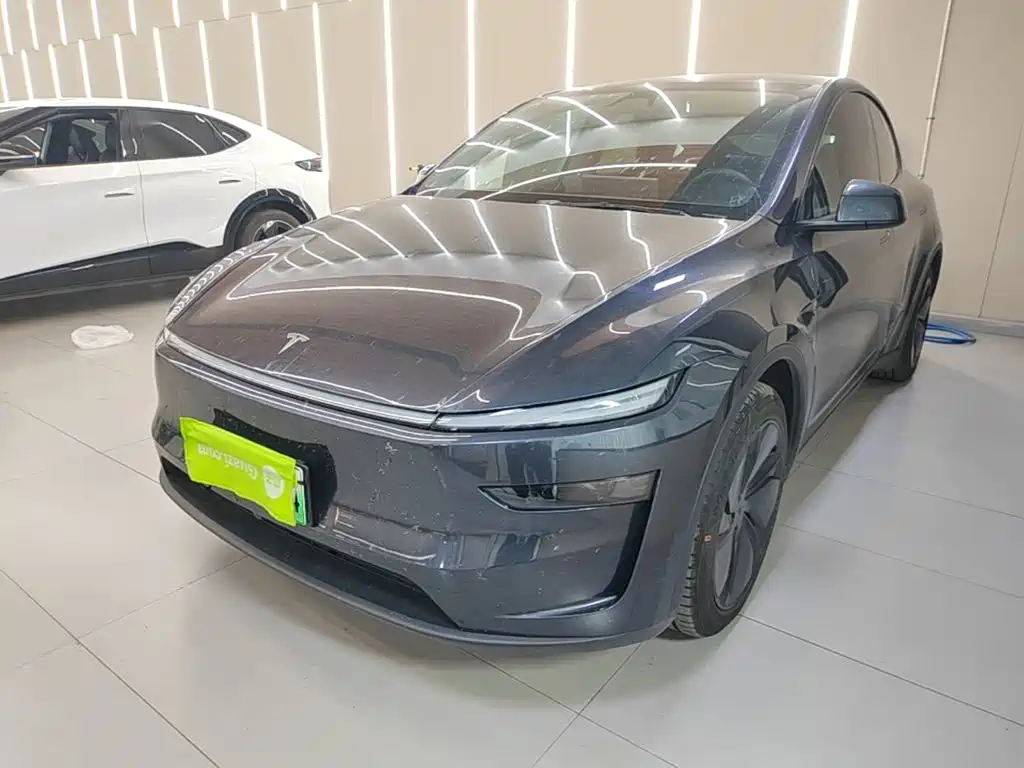 Tesla Model Y — фото 1