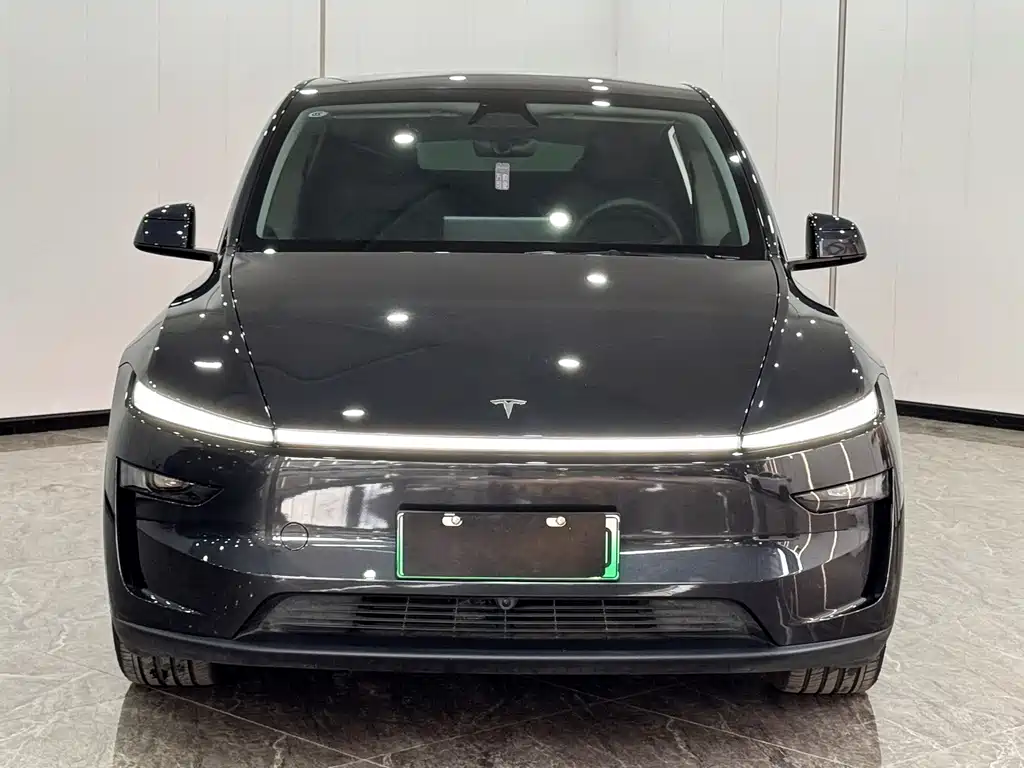 Tesla Model Y — фото 2