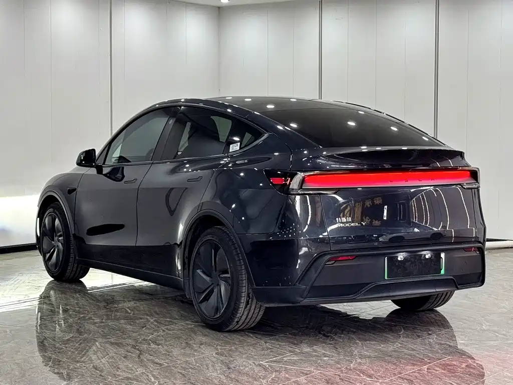 Tesla Model Y — фото 13