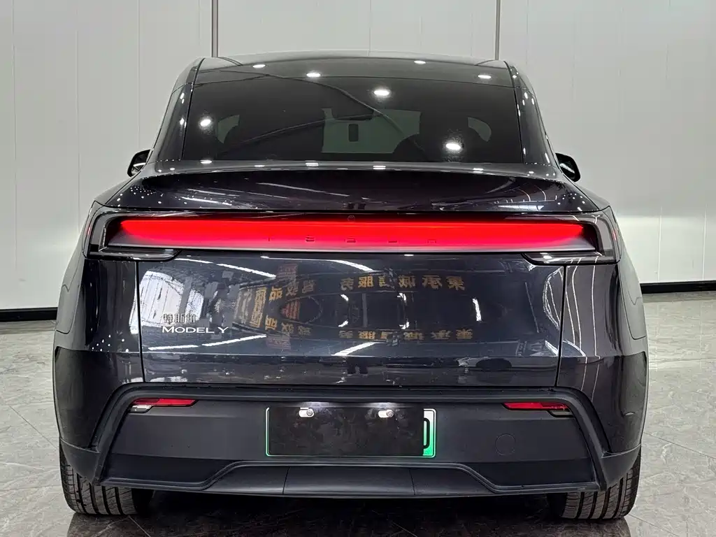 Tesla Model Y — фото 14