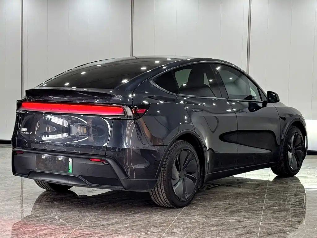 Tesla Model Y — фото 15