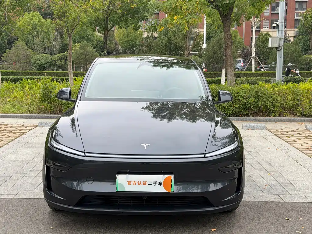 Tesla Model Y — фото 2