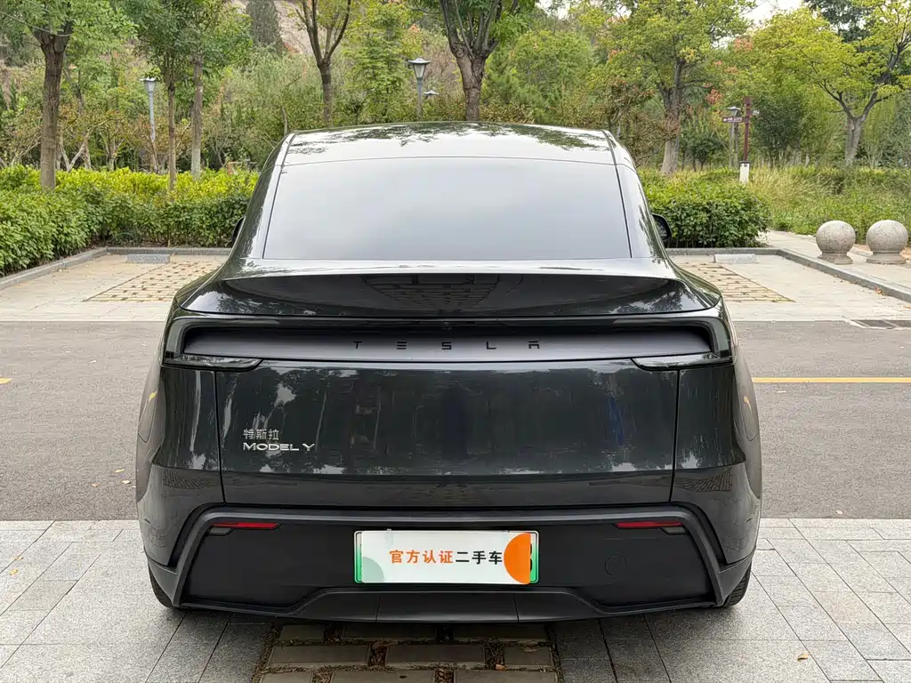 Tesla Model Y — фото 4