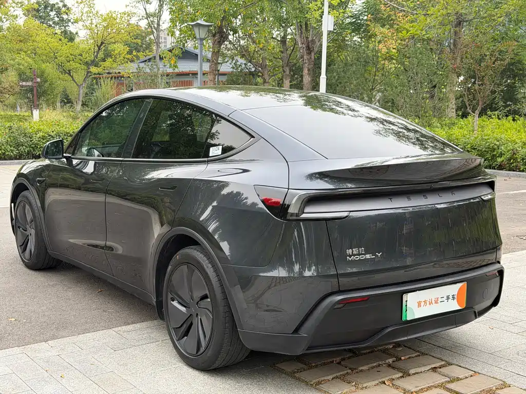 Tesla Model Y — фото 5