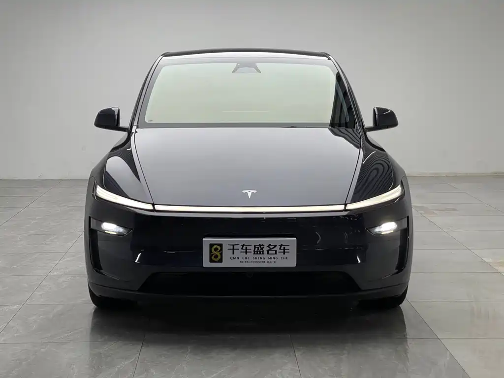 Tesla Model Y — фото 2
