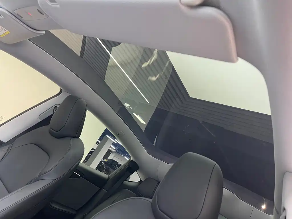 Tesla Model Y — фото 14