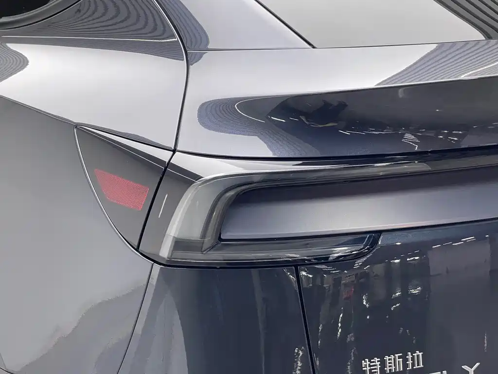 Tesla Model Y — фото 20