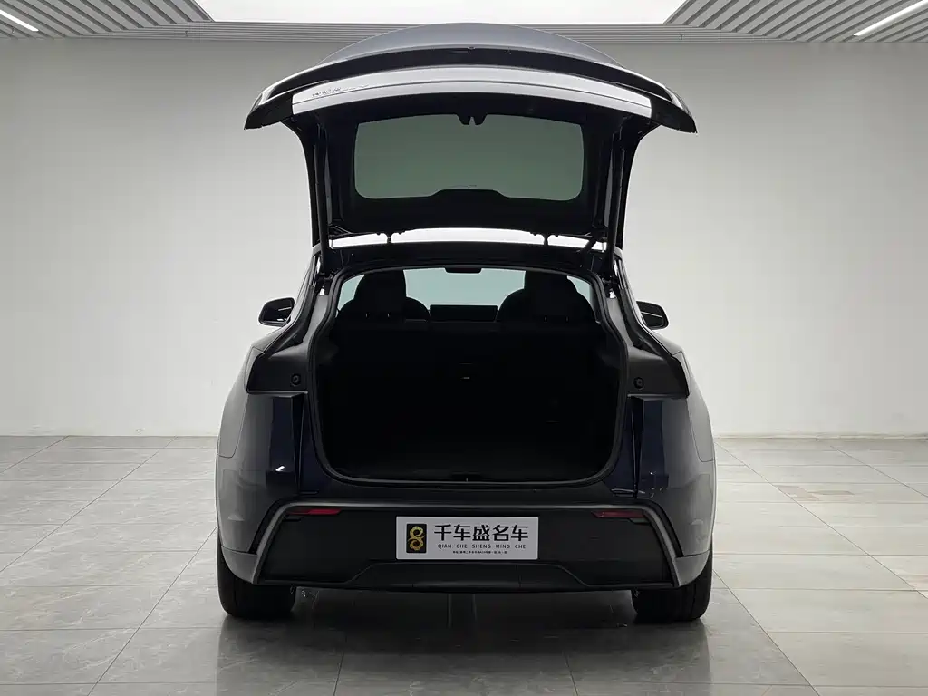 Tesla Model Y — фото 10