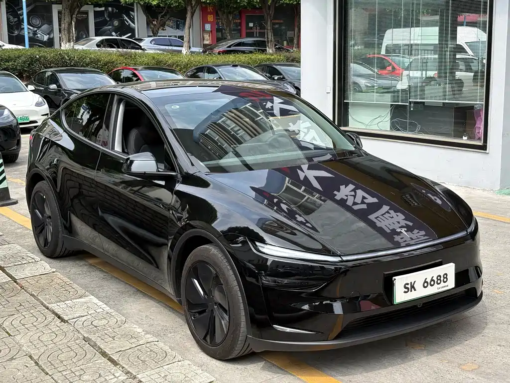 Tesla Model Y — фото 3