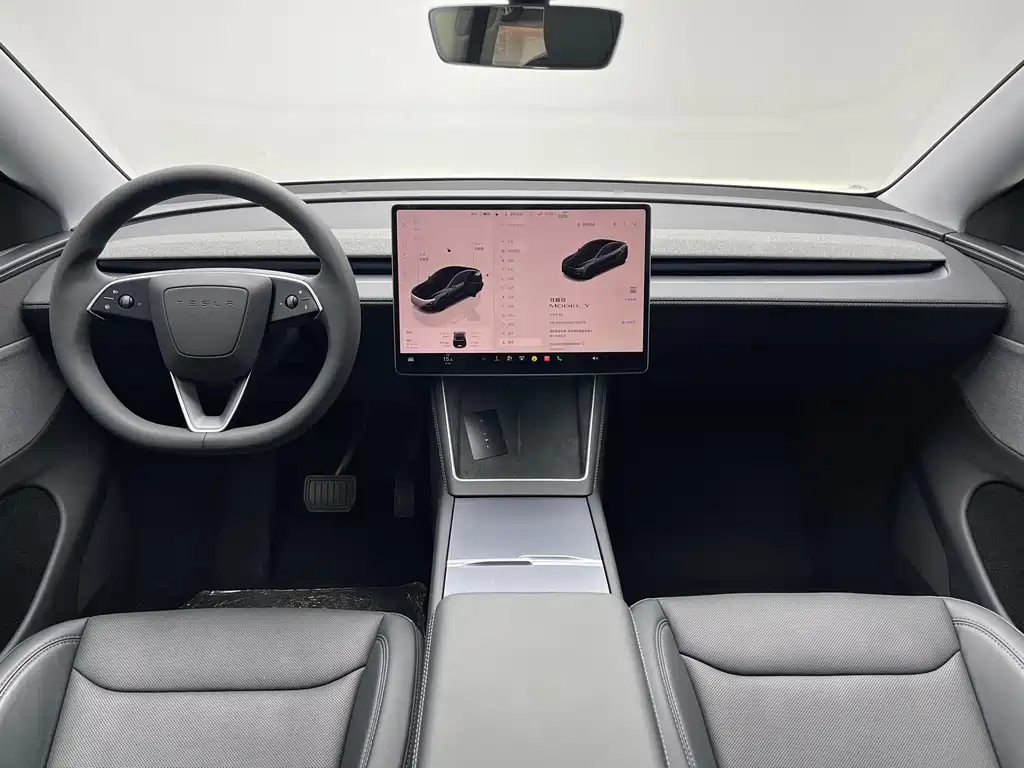 Tesla Model Y — фото 13
