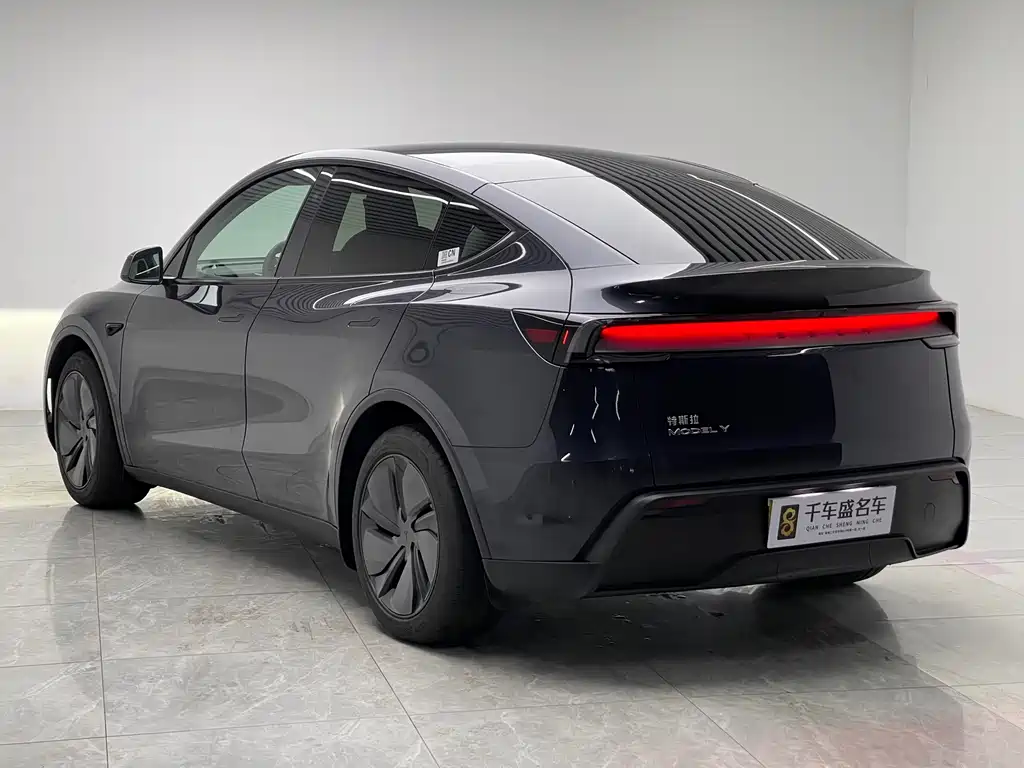 Tesla Model Y — фото 4