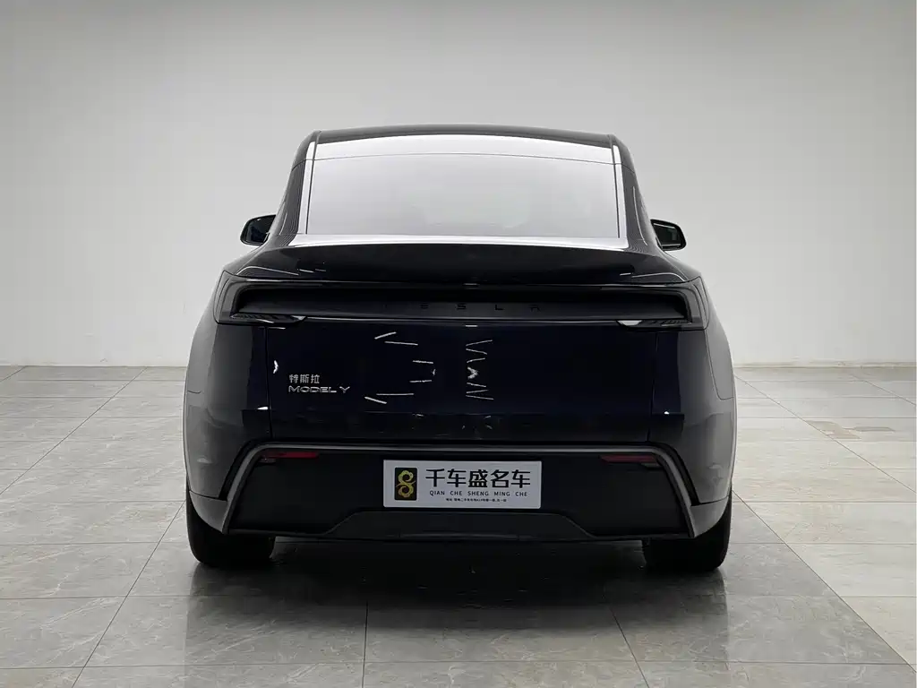 Tesla Model Y — фото 5