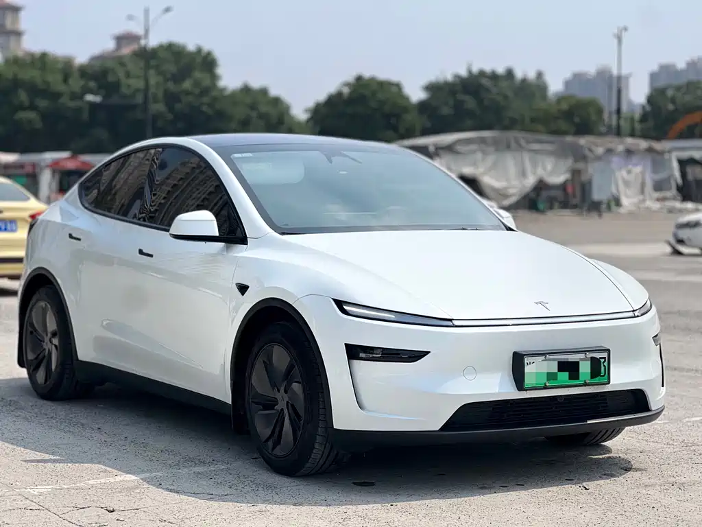 Tesla Model Y — фото 3