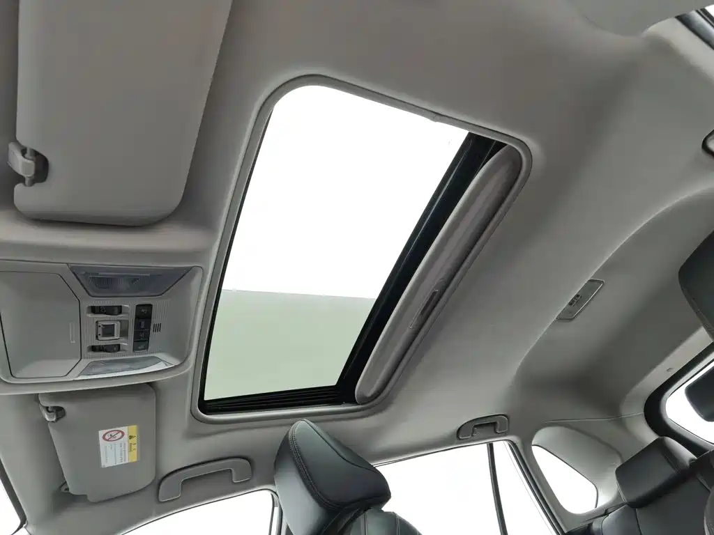 Toyota Wildlander New Energy — фото 14