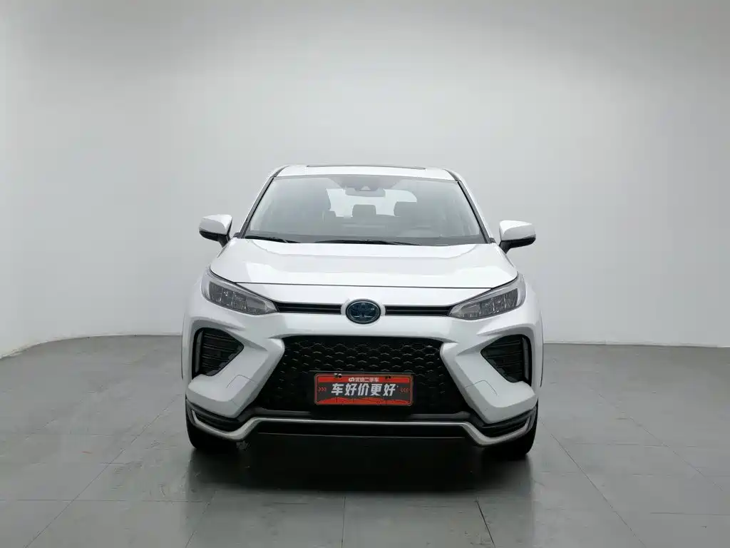 Toyota Wildlander New Energy — фото 3