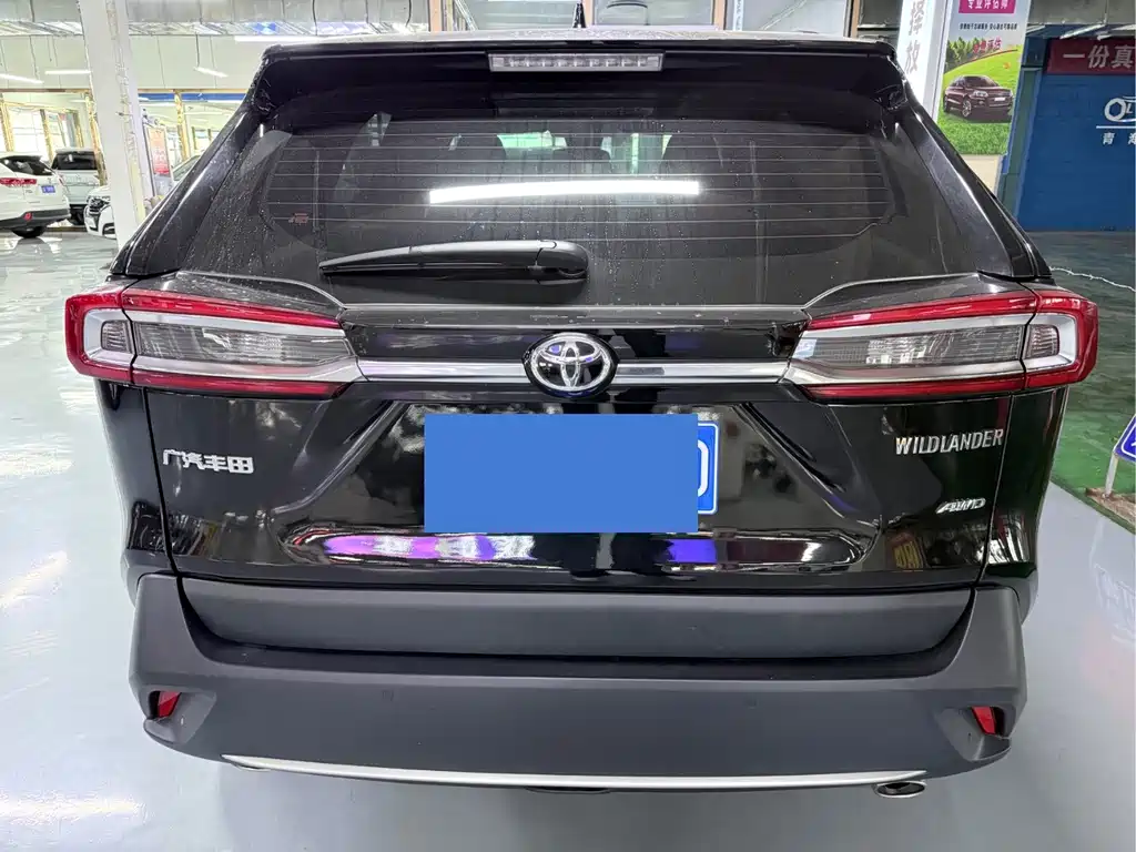 Toyota Wildlander — фото 18