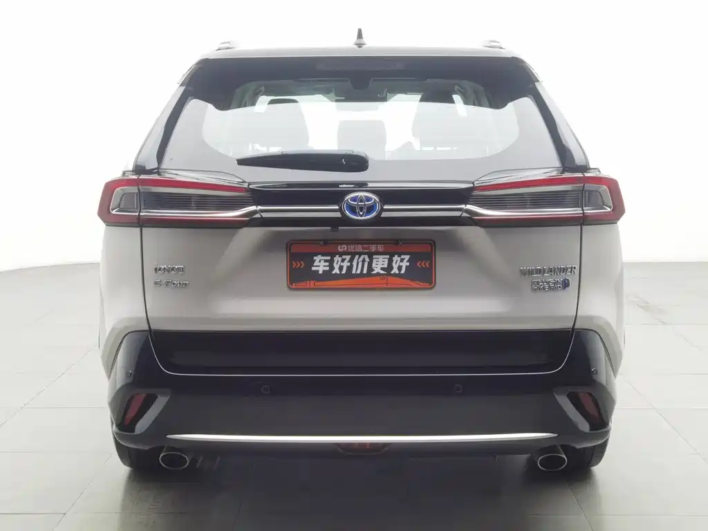 Toyota Wildlander New Energy — фото 4