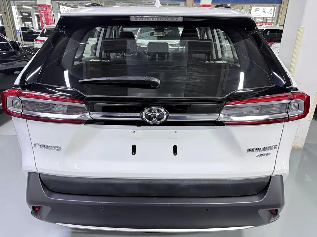 Toyota Wildlander — фото 18