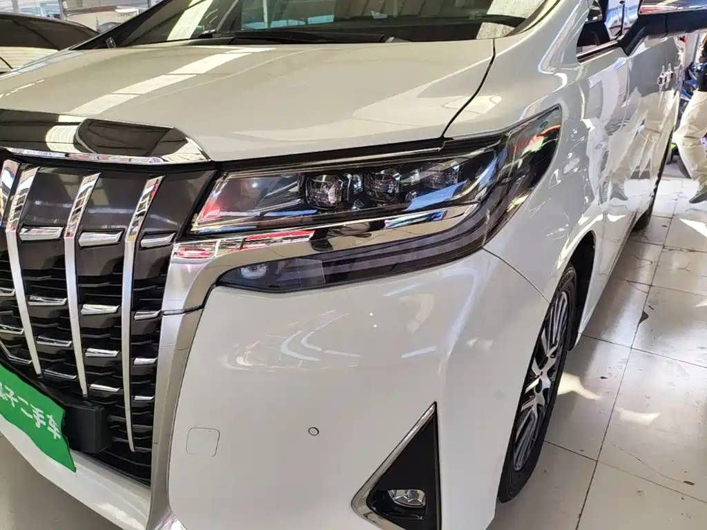 Toyota Alphard — фото 19
