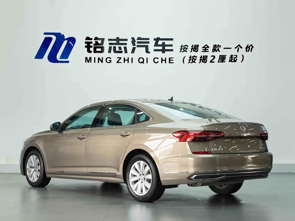 Volkswagen Passat — фото 8