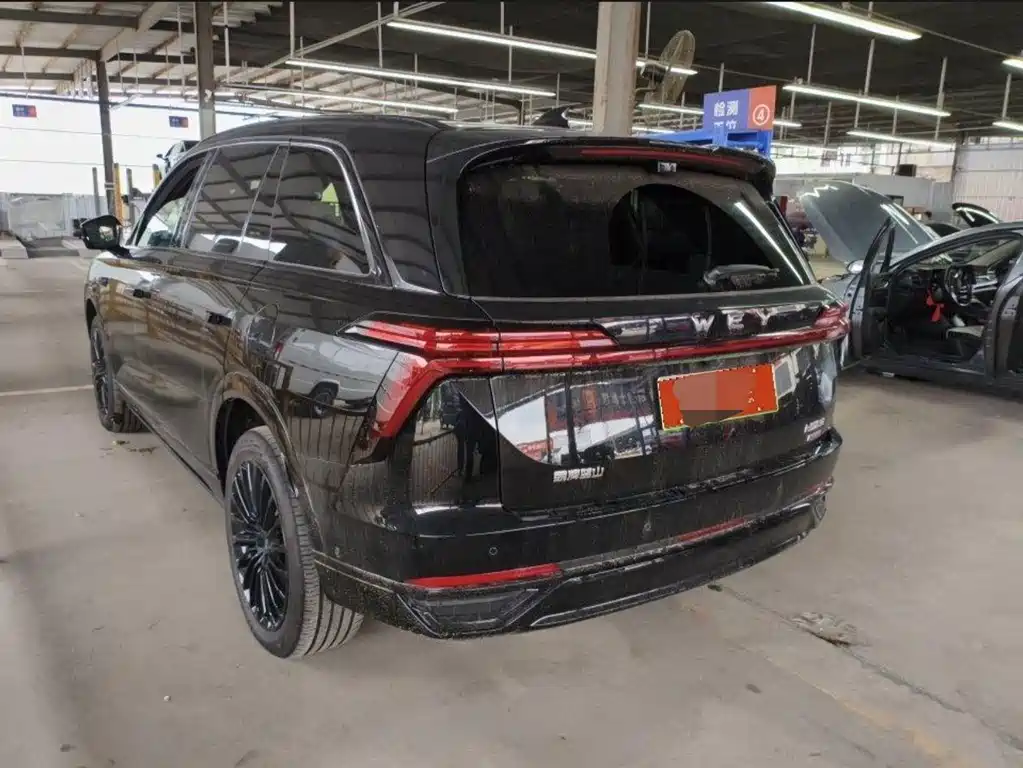 Wey Wey Lanshan — фото 9