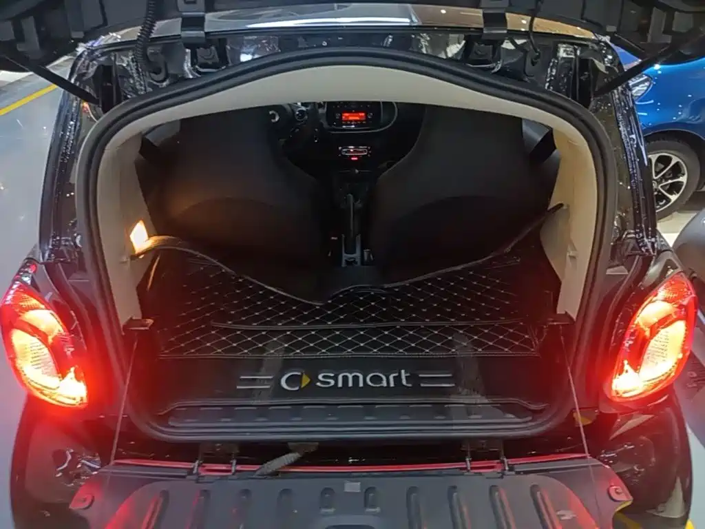smart Smart Fortwo — фото 19