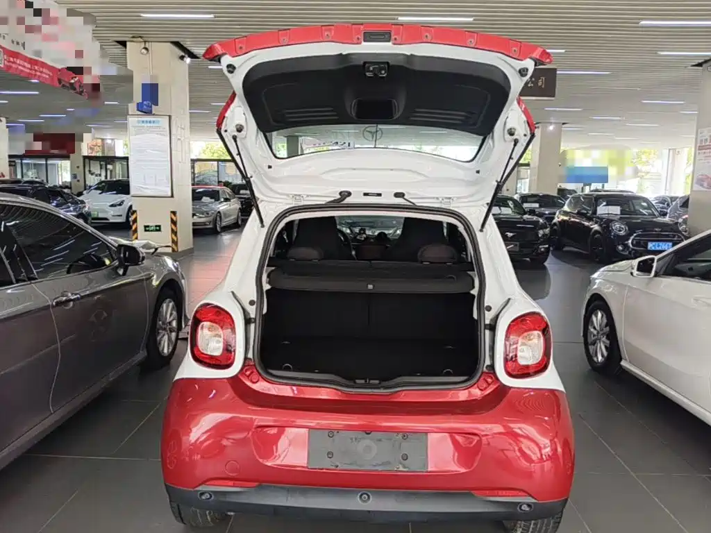 smart Smart Forfour — фото 19