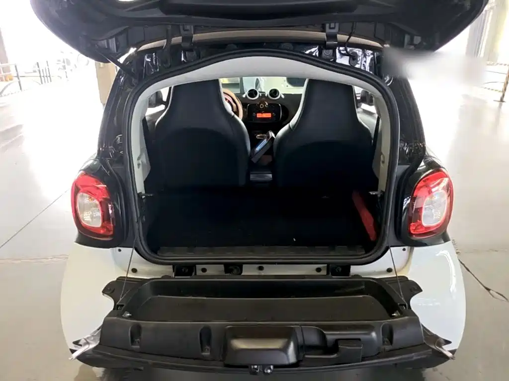 smart Smart Fortwo — фото 19