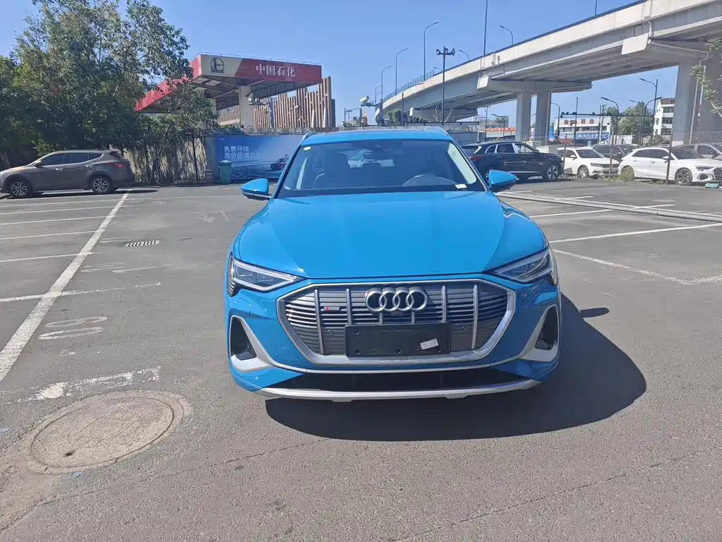 Audi e-tron — фото 2