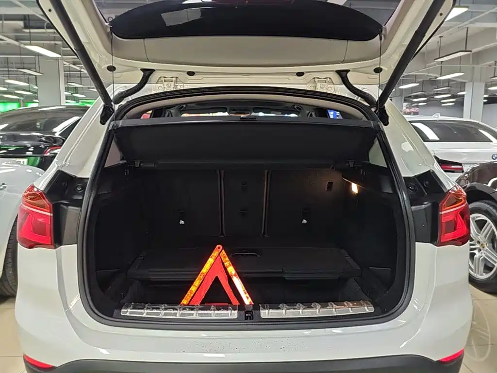 BMW X1 New Energy — фото 19