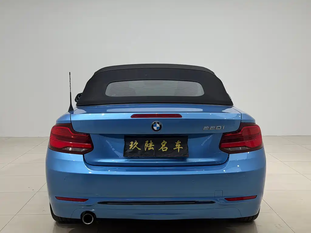 BMW 2 Series (Import) — фото 16