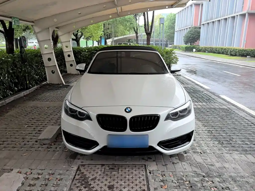BMW 2 Series (Import) — фото 3