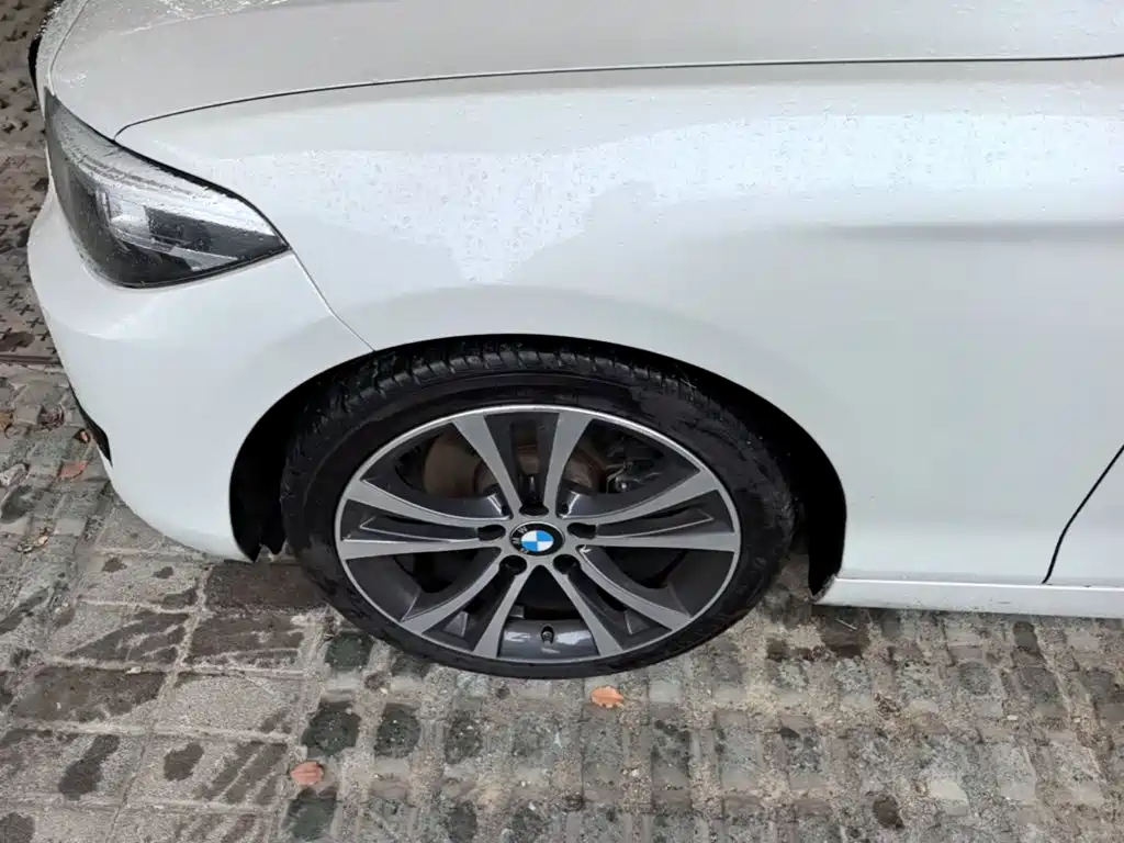 BMW 2 Series (Import) — фото 23