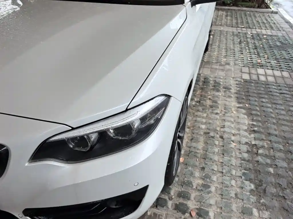 BMW 2 Series (Import) — фото 24