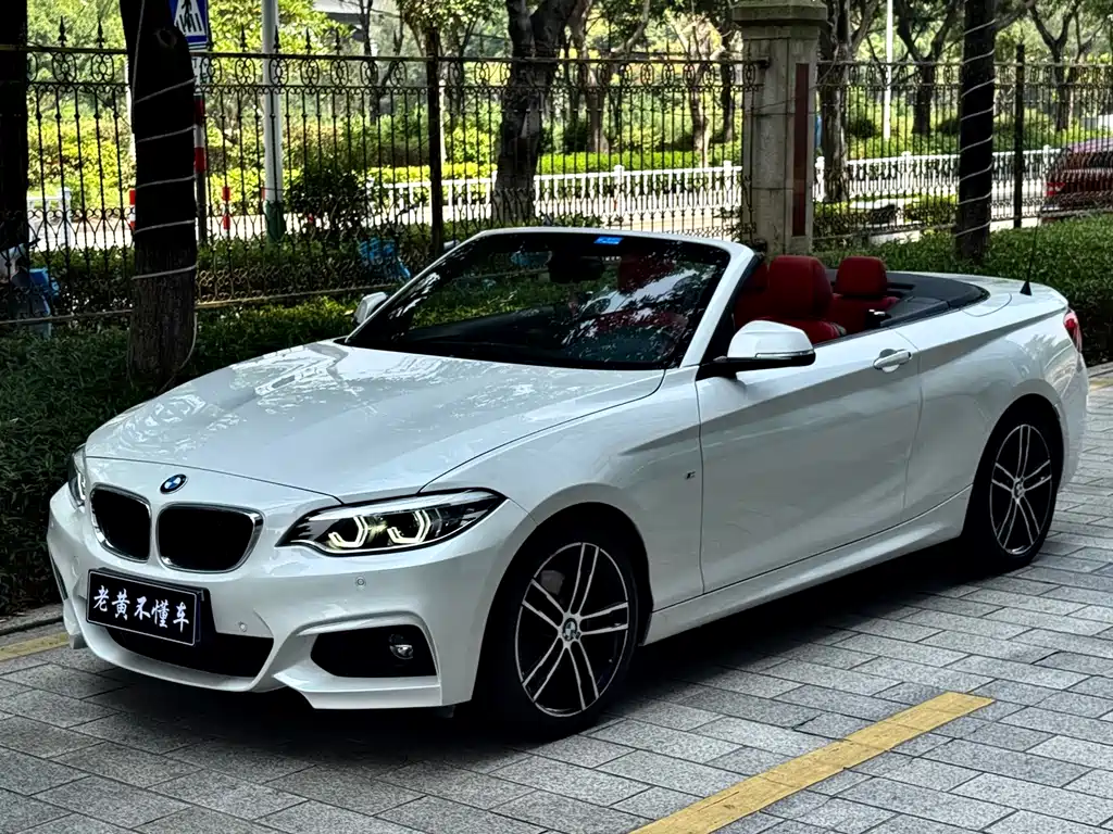 BMW 2 Series (Import) — фото 2