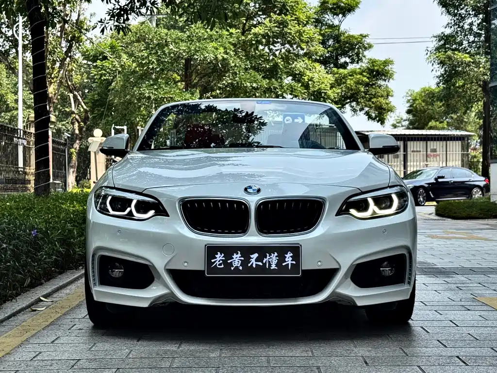 BMW 2 Series (Import) — фото 3