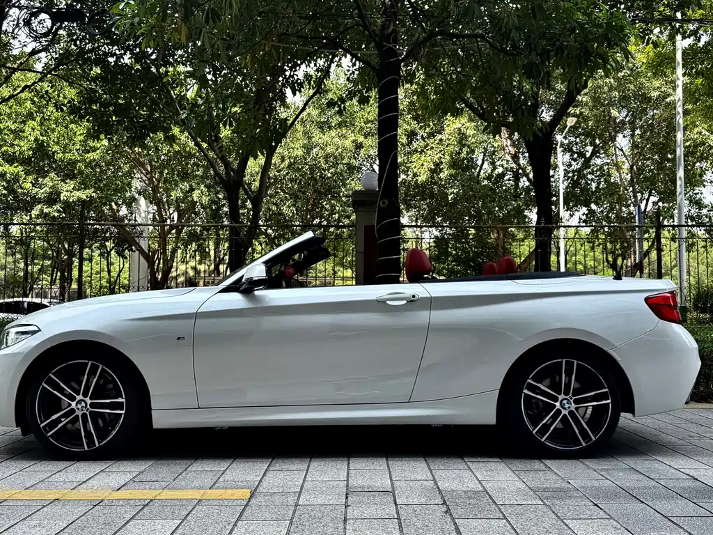 BMW 2 Series (Import) — фото 5