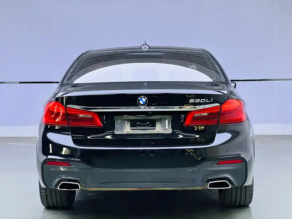BMW 5 Series — фото 6