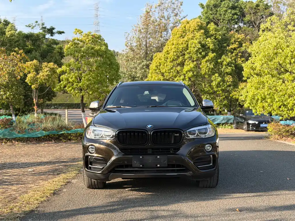BMW X6 — фото 2