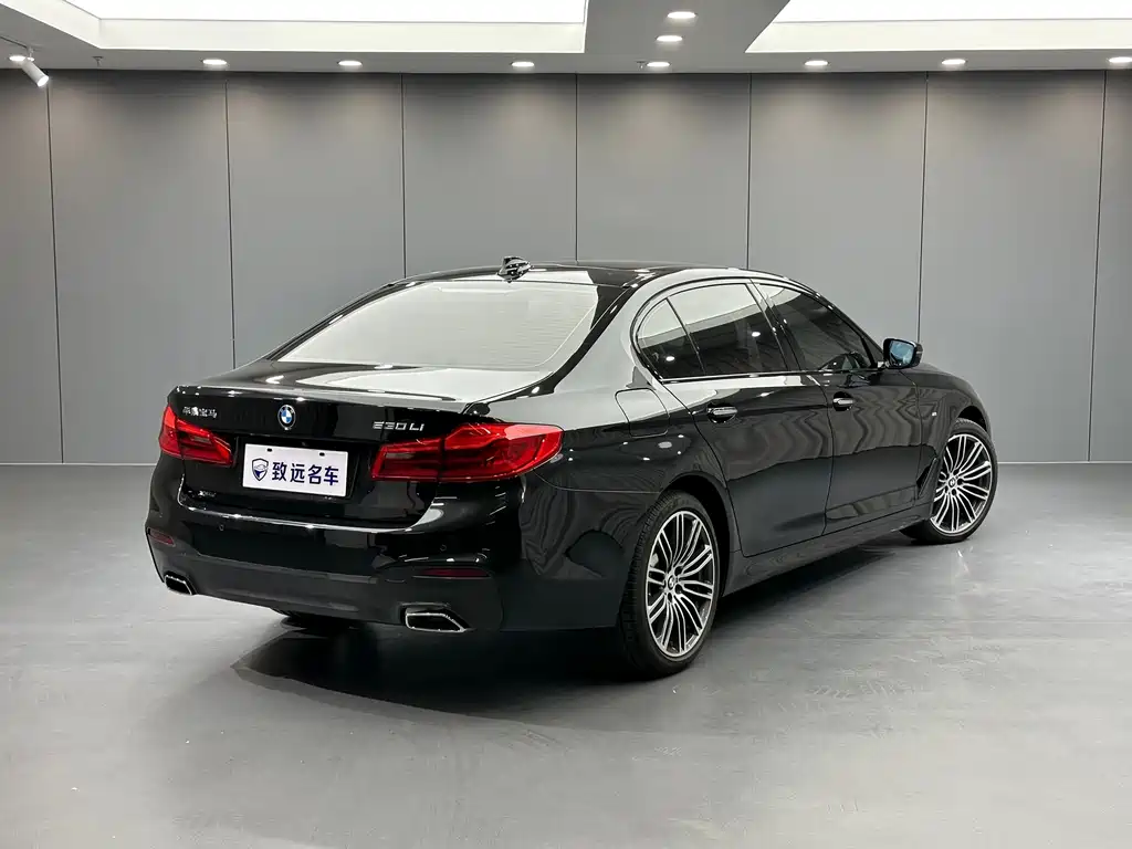 BMW 5 Series — фото 4