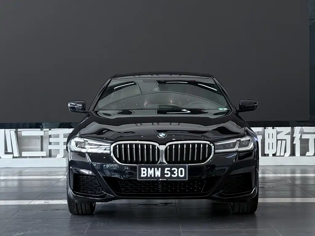 BMW 5 Series — фото 2