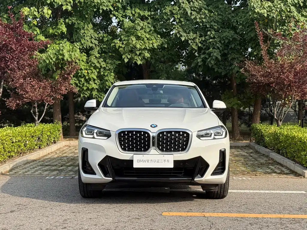 BMW X4 — фото 5