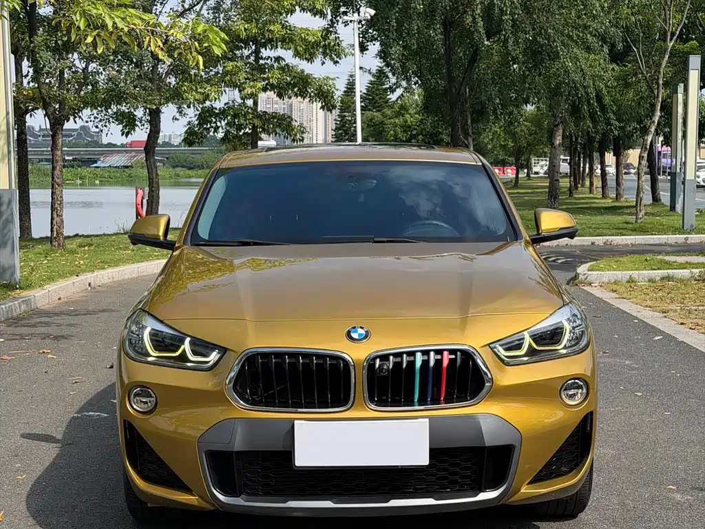 BMW X2 (Import) — фото 2
