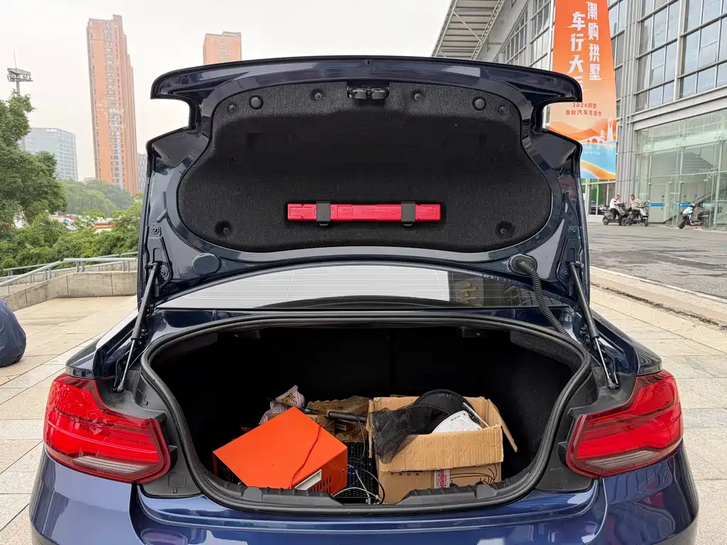 BMW 2 Series (Import) — фото 10