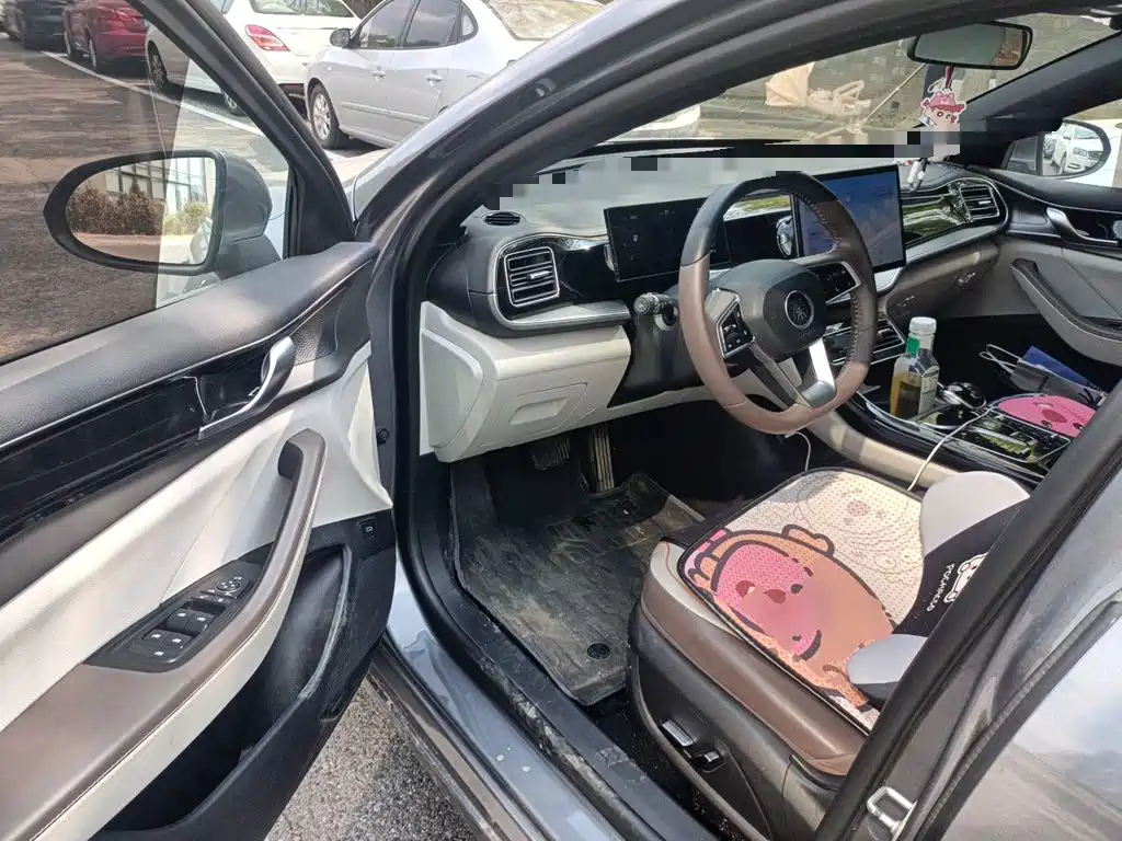 BYD Qin PLUS — фото 17