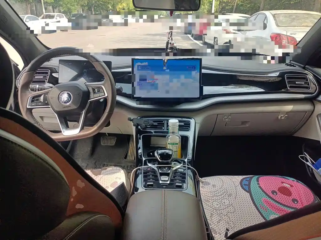 BYD Qin PLUS — фото 10