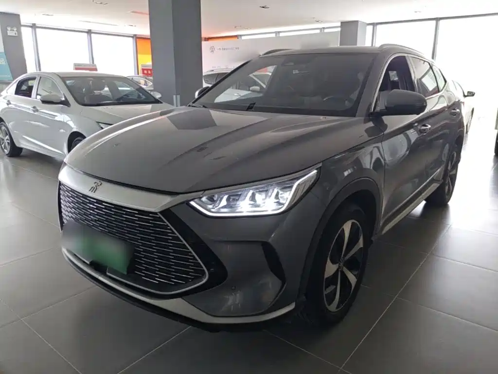 BYD PLUS New Energy — фото 2